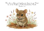 Preview: Postkarte "Maus"